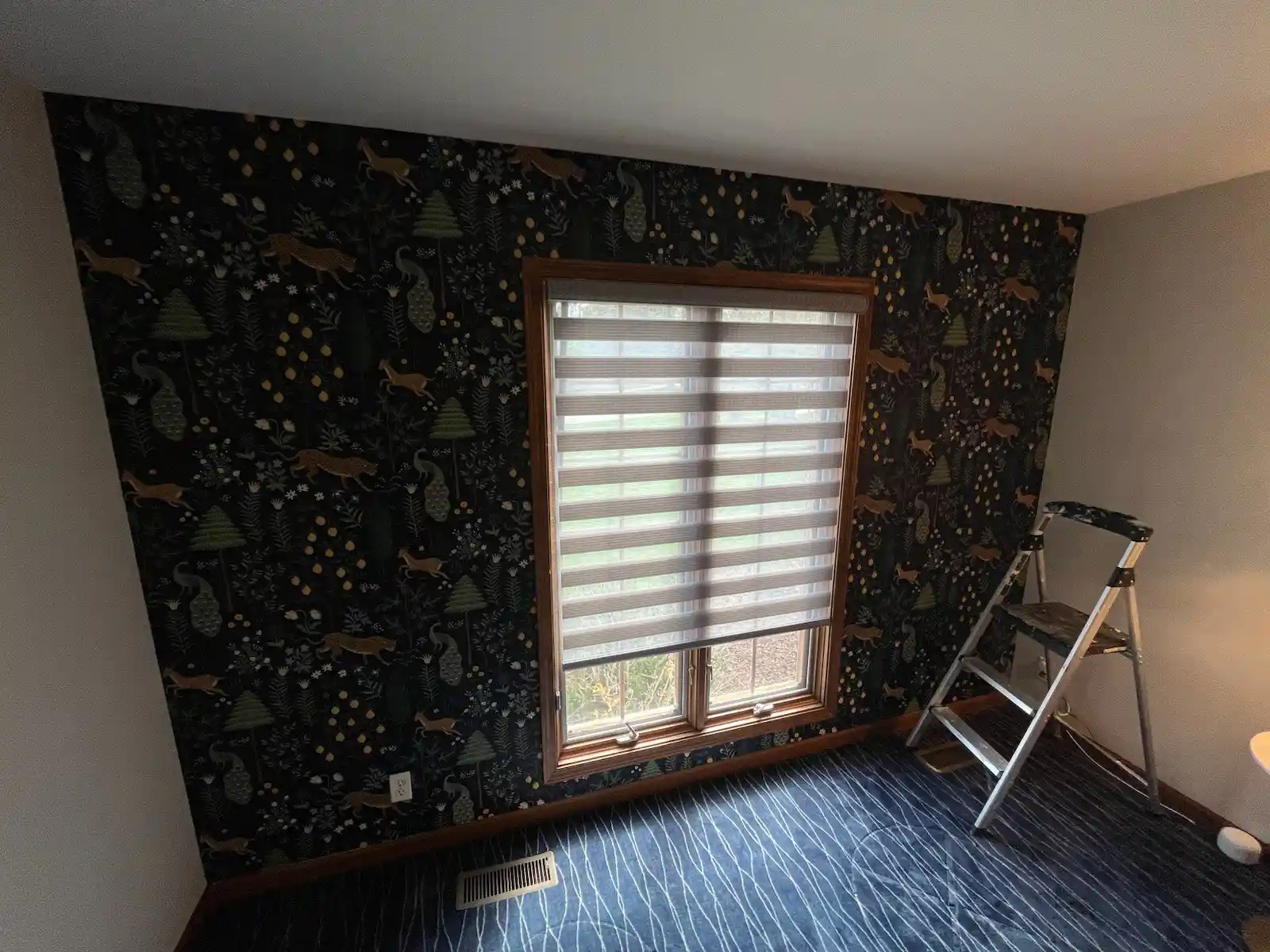 Office wall covering installation San Antonio